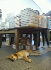 486246_437273692960962_193428777_n