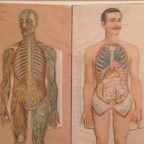 O corpo da literatura