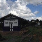 Um romance e uma elegia a Rosa