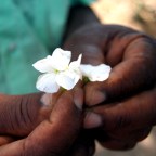 Um guia para a questão racial