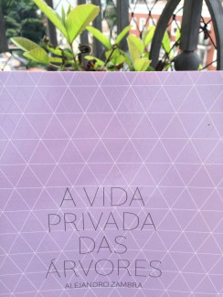 A vida privada das árvores foto
