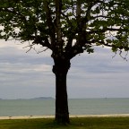 Que horas ela volta?