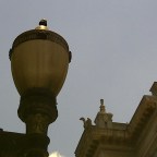 O mau começo do Brasil