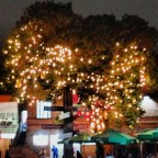 6 dicas de livros para impressionar seu amigo secreto