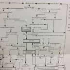 A arte e a maneira de escrever um livro genial