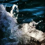 As águas turbulentas de Clarice