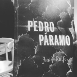 2017-06-18 19.26.30-2