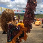 Oh abre alas, que os livros vão passar