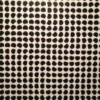 Cartas da prisão domiciliar