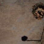 Rupi Kaur além da internet