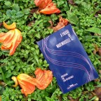 Pra que rimar amor e dor?