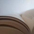 7 motivos para ler ‘A montanha mágica’