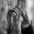 Eu sei o que você fez durante a guerra