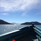 Michel Houellebecq e o ódio ao multiculturalismo