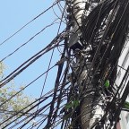 Você gosta de poesia?