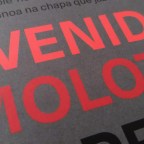 Os protestos de 2013 em romance