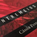 Diário de uma narradora incomum