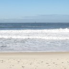 Joel e o sentido da vida