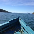 A ilha de Elena Ferrante