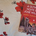 A última noite de José Wilker