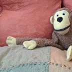 A sociedade dos vigias